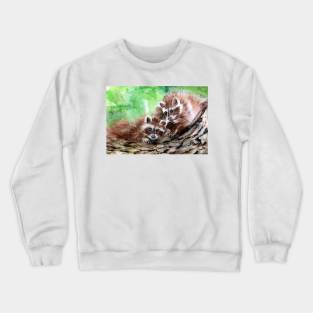 Racoons chatting Crewneck Sweatshirt